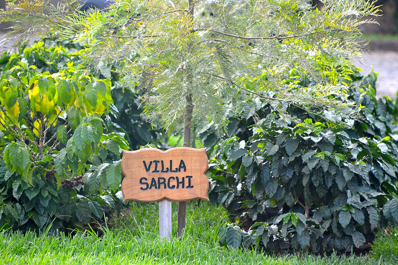 Cà phê Villa Sarchi – Costa Rica