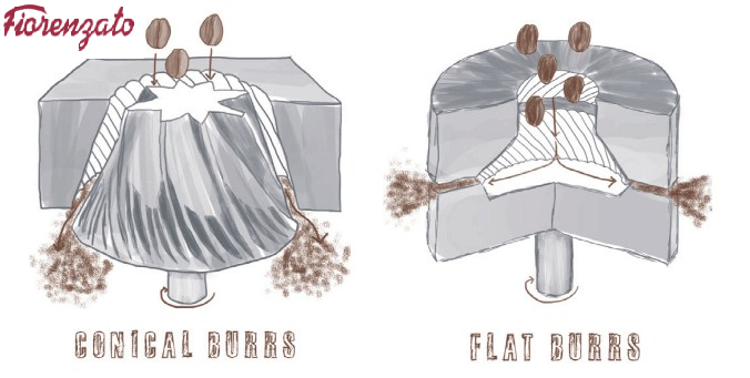 Cơ chế hoạt động trên conical burr và flat burr